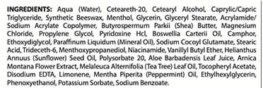 Rótulo de ingredientes do Arnica Sports